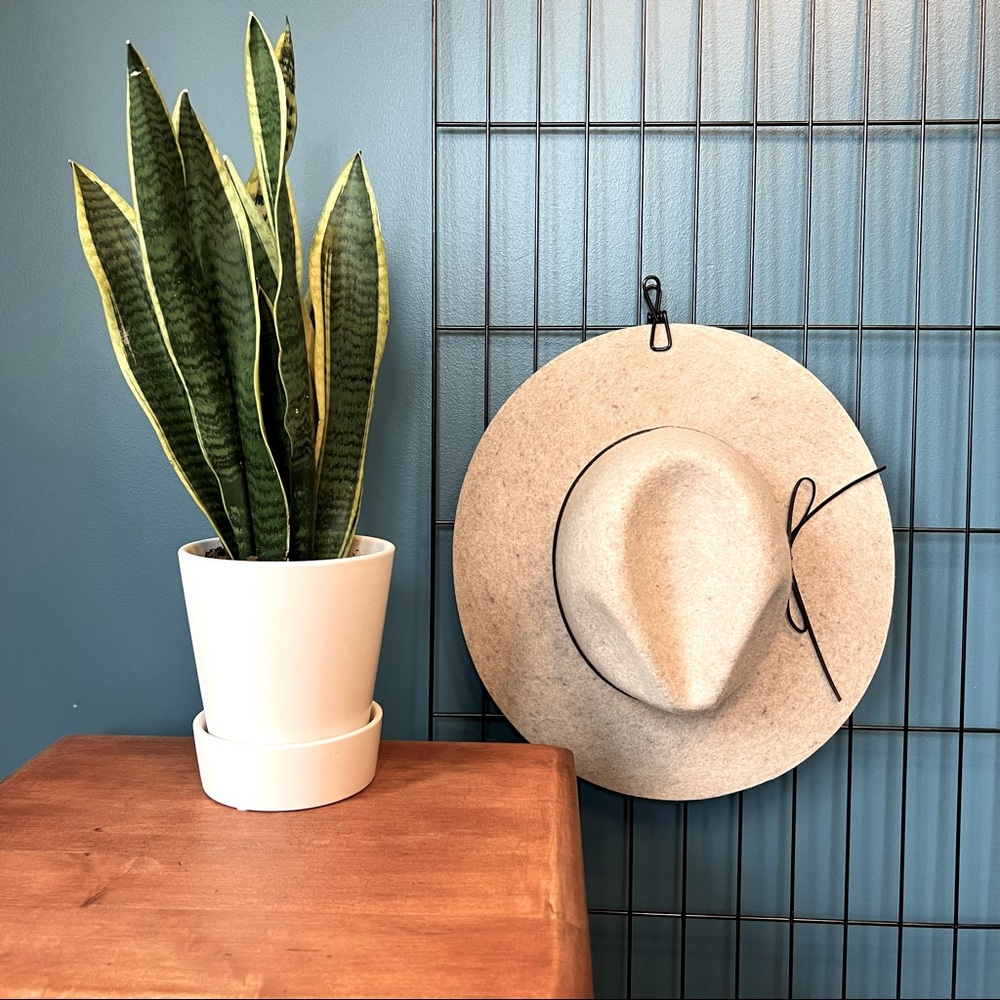 Fedora hat